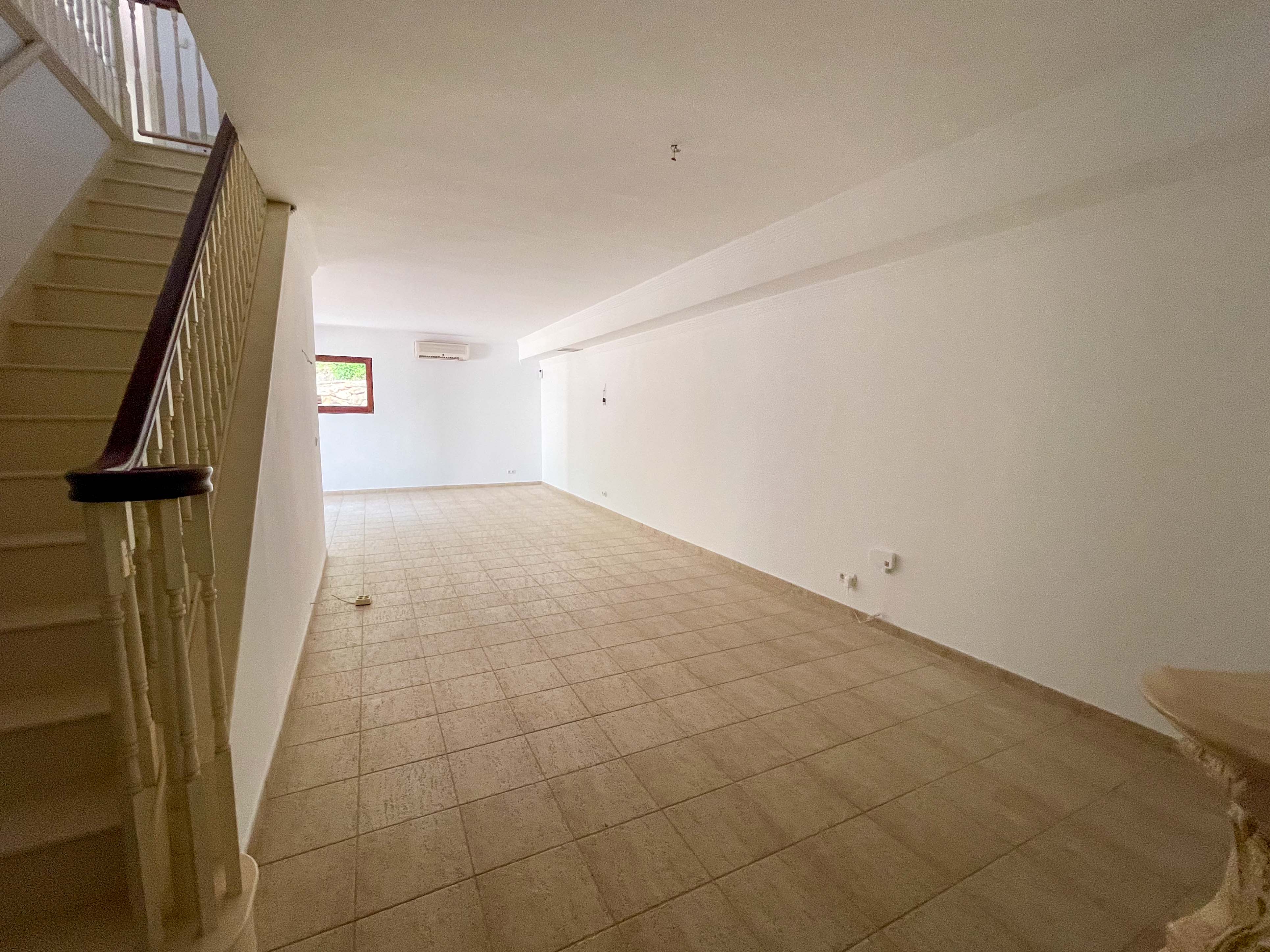 Imagen 020
